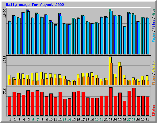 Daily usage for August 2022