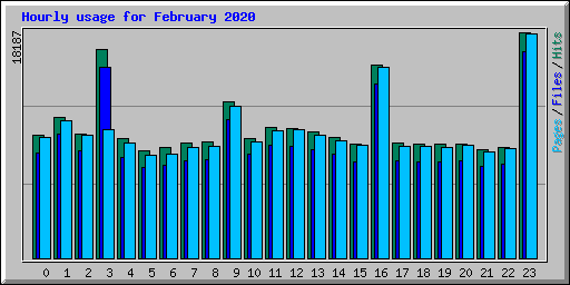 Hourly usage for February 2020