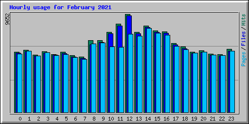 Hourly usage for February 2021