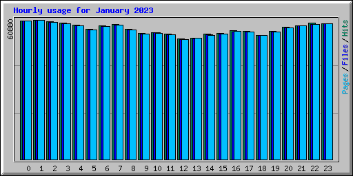 Hourly usage for January 2023