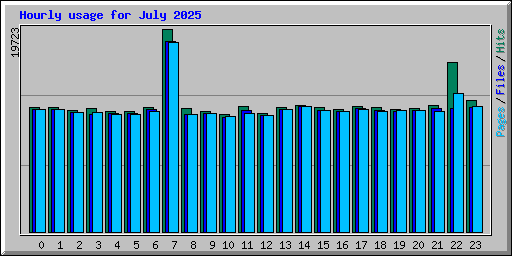 Hourly usage for July 2025