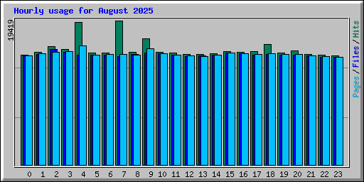 Hourly usage for August 2025