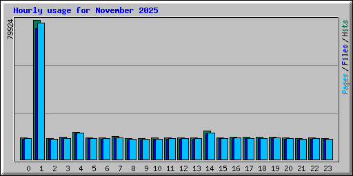 Hourly usage for November 2025