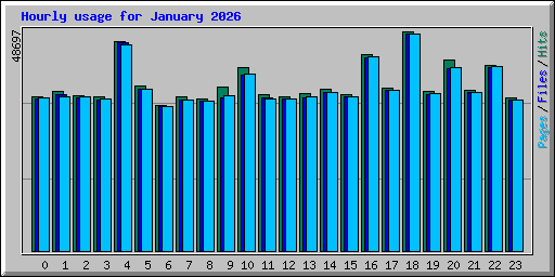 Hourly usage for January 2026