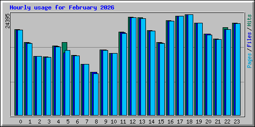 Hourly usage for February 2026