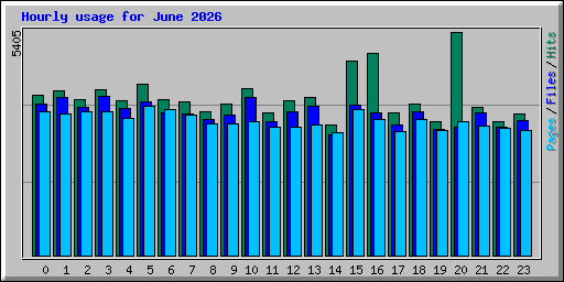 Hourly usage for June 2026
