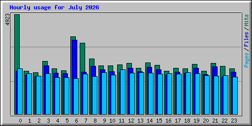 Hourly usage for July 2026