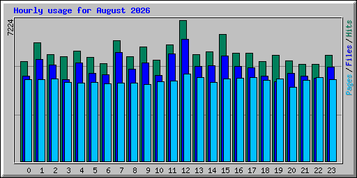 Hourly usage for August 2026